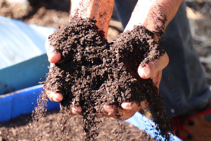 two hands together holding a pile of brown dirt
