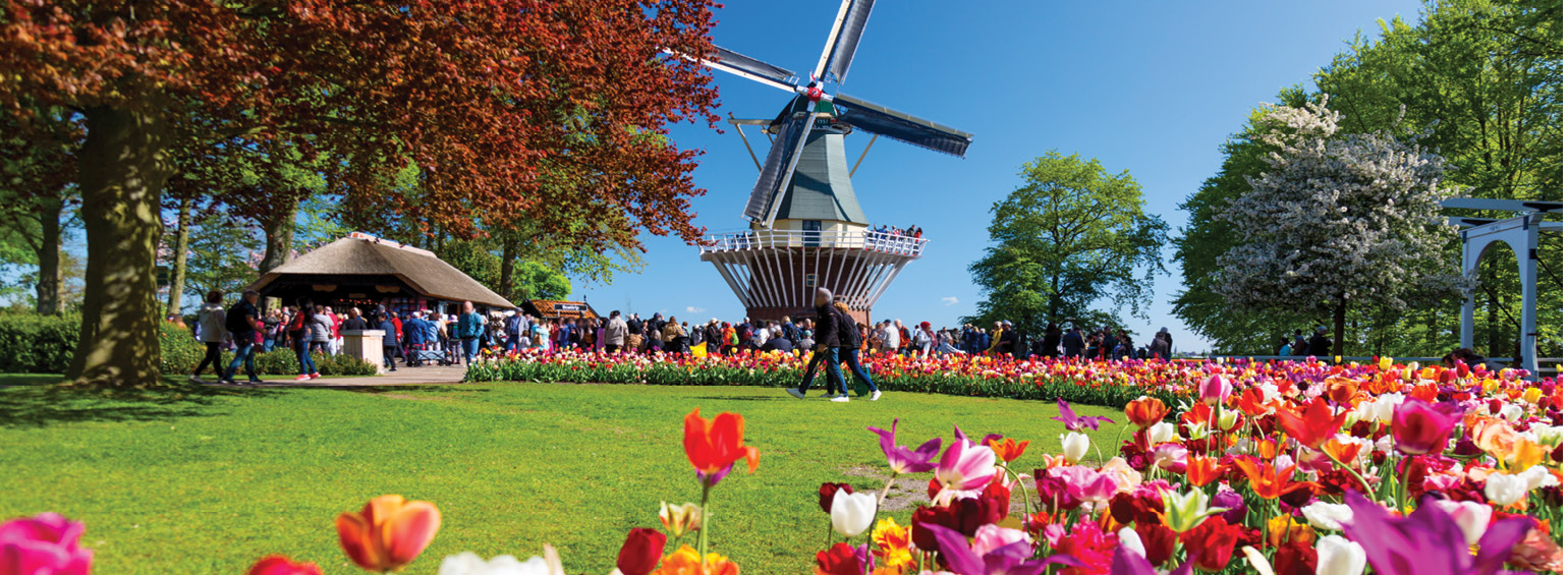 windmill with colorful tulips