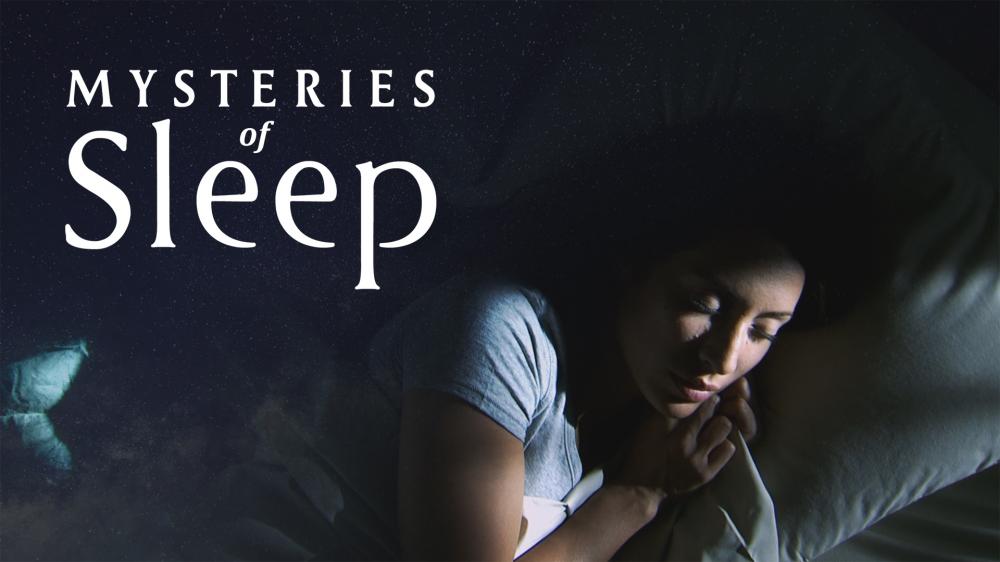 Sleep logo
